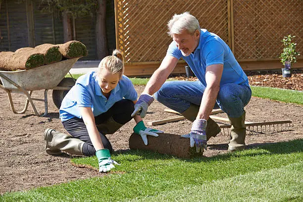 Dependable Sod Installation in Hartford, CT