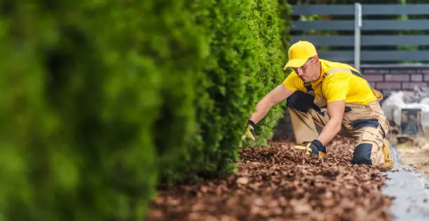 How Long Does Mulch Last Hartford, CT