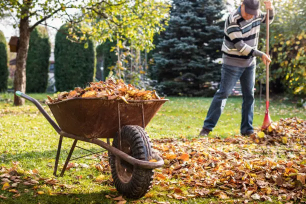 How To Clean A Backyard Hartford, CT