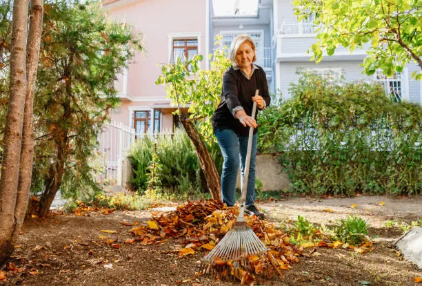 How To Clean A Backyard in Hartford, CT