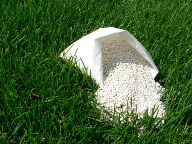 How often should you fertilize your lawn Hartford, CT