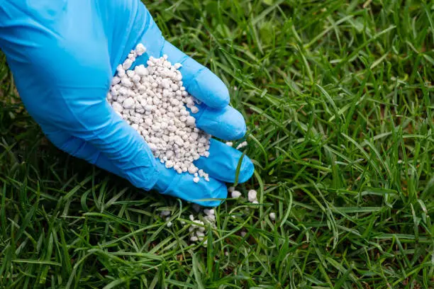 How often should you fertilize your lawn in Hartford, CT