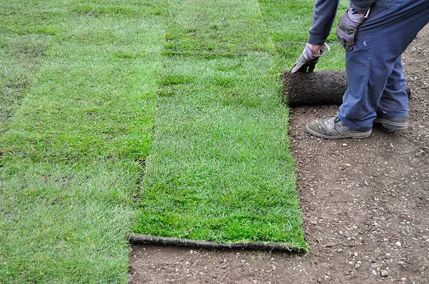 How to lay sod over existing lawn in Hartford, CT