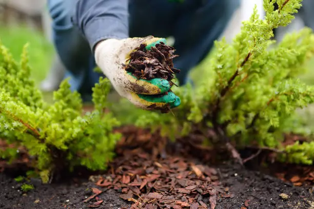 Mulching in Hartford, CT