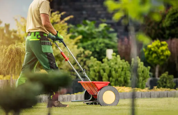 Reliable Lawn Fertilization in Hartford, CT