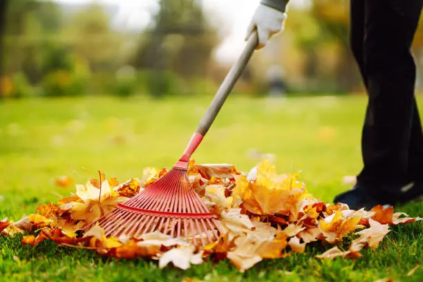 Reliable Yard cleanup in Hartford, CT