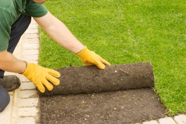 Sod Installation Hartford, CT