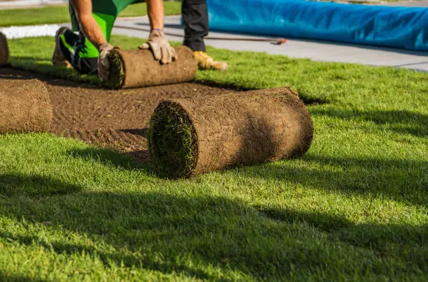 Sod Installation in Hartford, CT