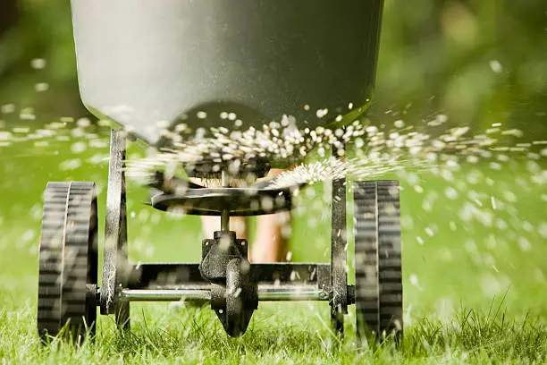 When is the best time to fertilize your lawn in Hartford, CT