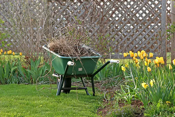 Yard cleanup in Hartford, CT